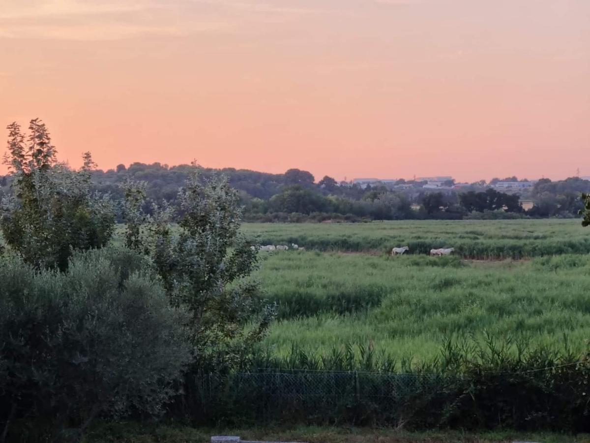 Gites De L'Estagnol Villeneuve-les-Maguelonne Bagian luar foto