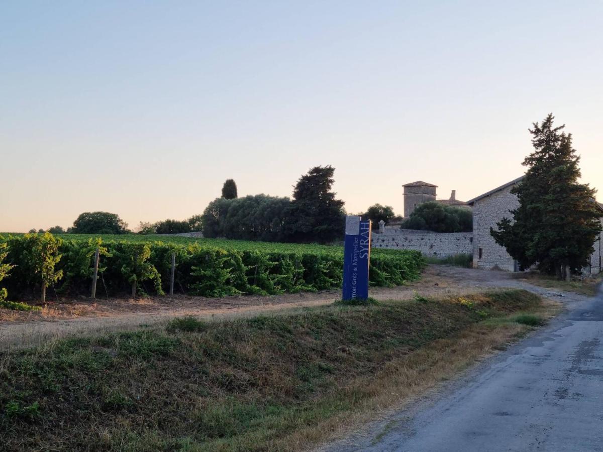 Gites De L'Estagnol Villeneuve-les-Maguelonne Bagian luar foto
