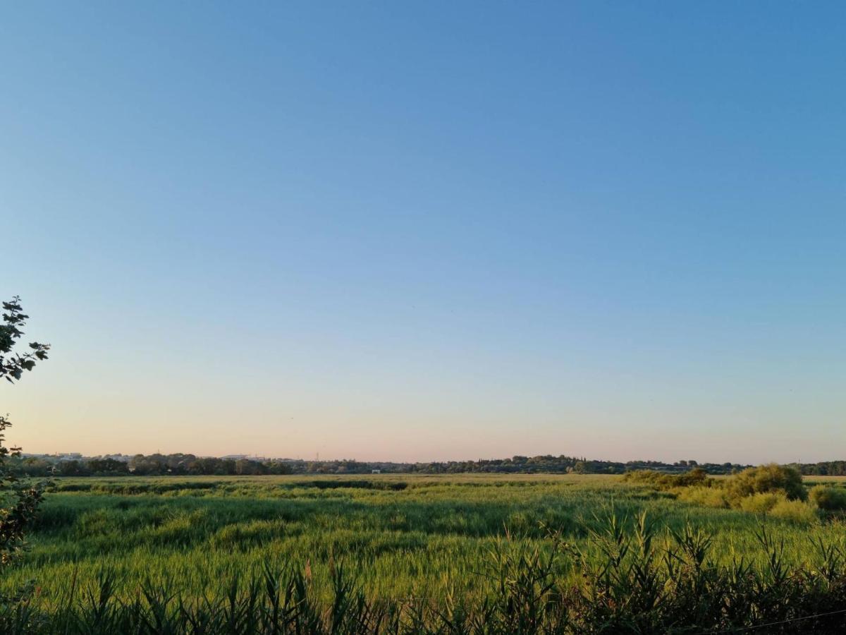Gites De L'Estagnol Villeneuve-les-Maguelonne Bagian luar foto