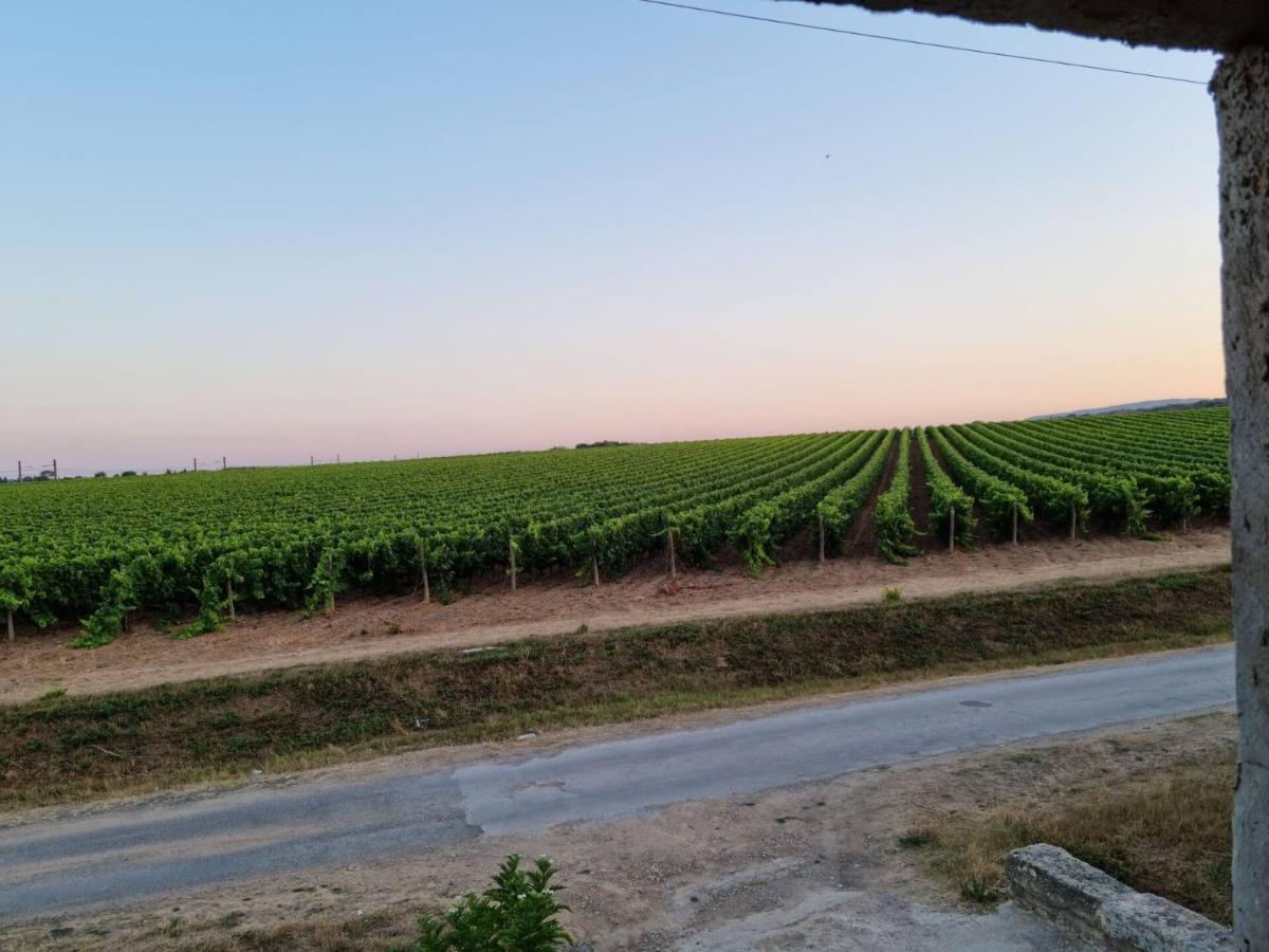 Gites De L'Estagnol Villeneuve-les-Maguelonne Bagian luar foto